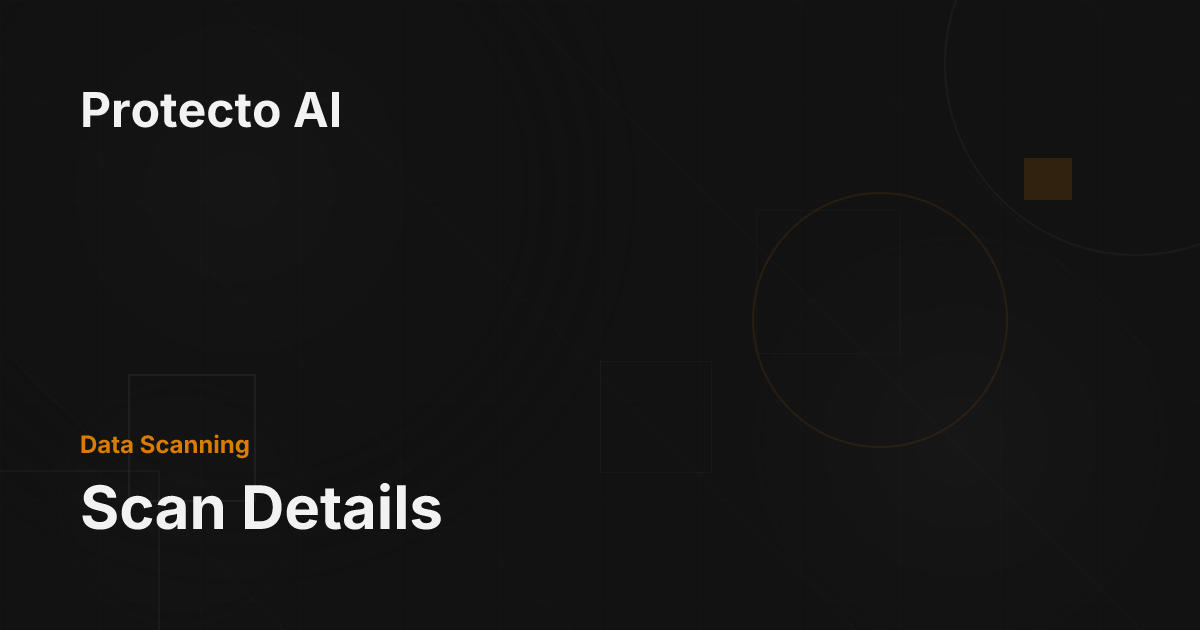 Scan Details - Protecto AI Documentation