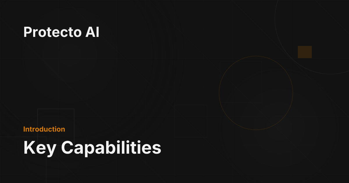 Key Capabilities - Protecto AI Documentation